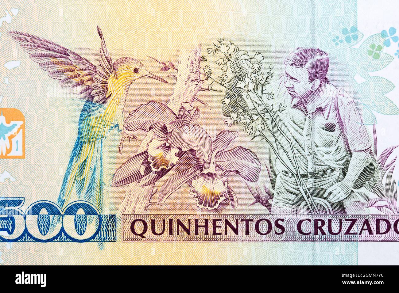 Augusto Ruschi un portrait de l'ancien argent brésilien Banque D'Images