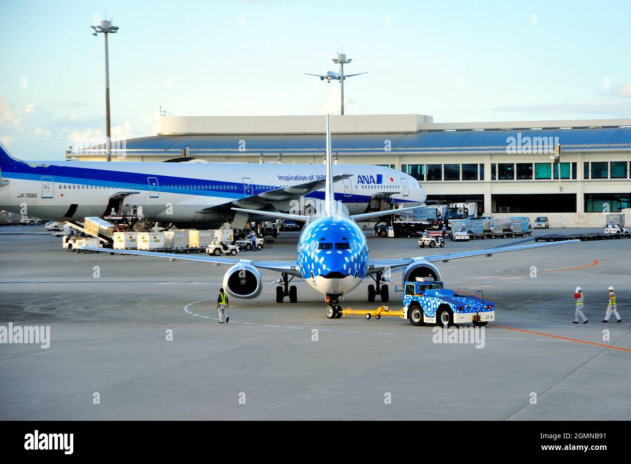 Blue Whaleshark, Boeing B-737/400, JA8939, Japan Transocean Airline, JTA, aéroport de Naha, Okinawa, îles Ryukyu, Japon Banque D'Images
