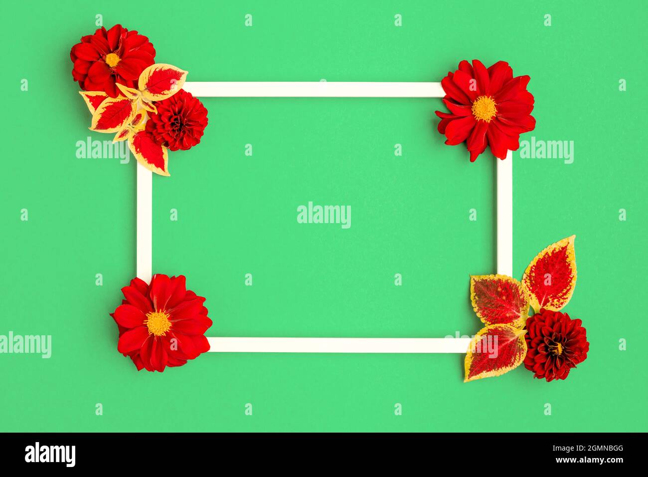 Joyeux Fete Des Meres Fete Des Femmes Saint Valentin Ou Anniversaire Fond Vert Brillant Modele De Carte De Vœux A Plat Colore Avec De Belles Fleurs A Photo Stock Alamy