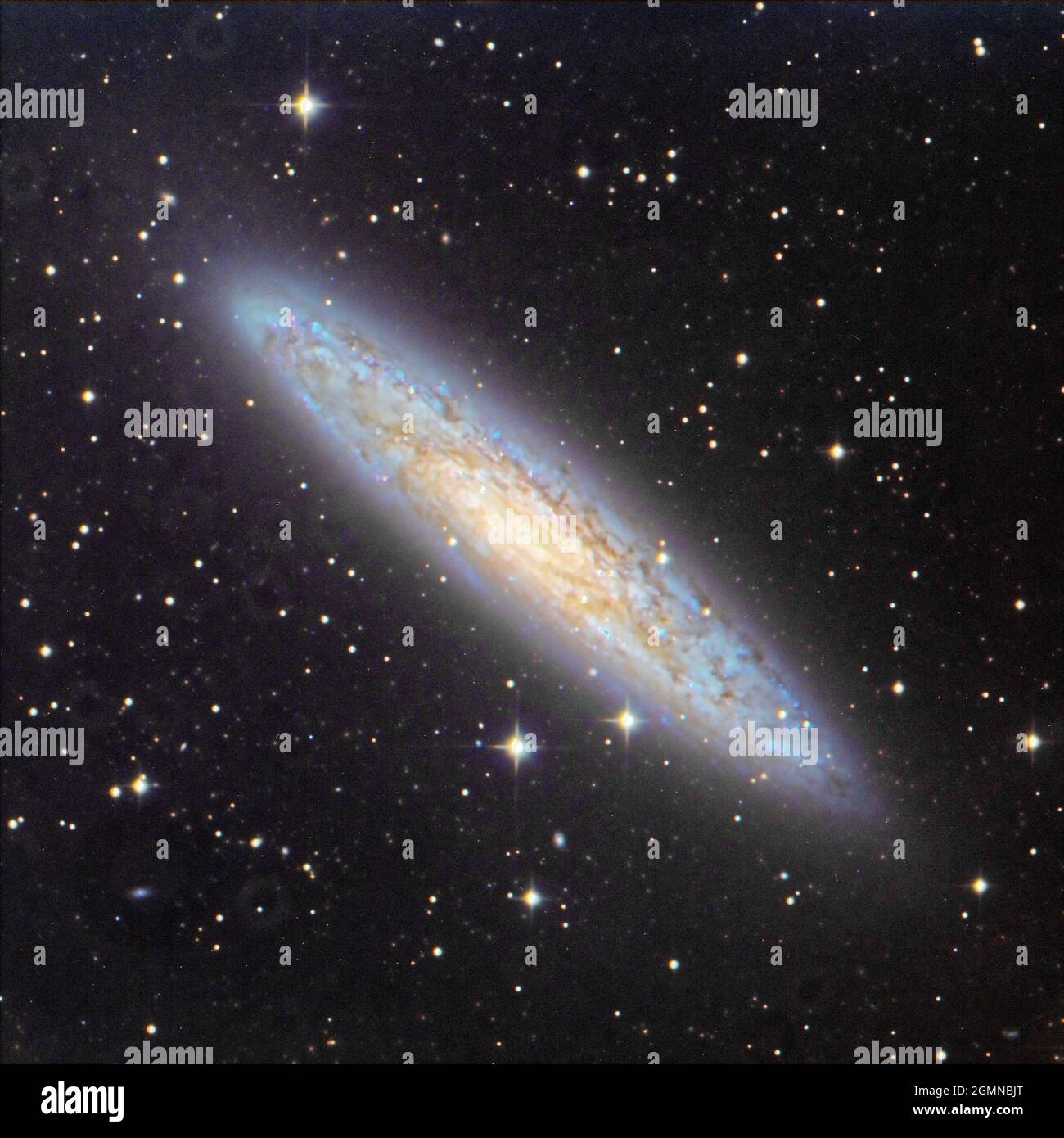 La galaxie des sculpteurs est une galaxie spirale intermédiaire qui traverse actuellement une période de formation intense d'étoiles. Banque D'Images