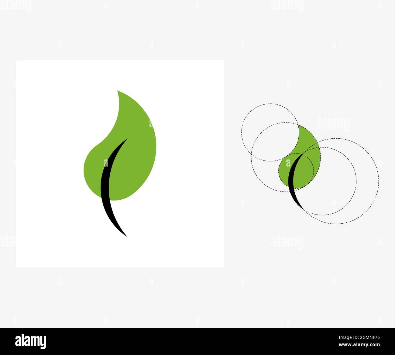 Feuille vectorielle de style Golden ratio. Illustration modifiable Illustration de Vecteur
