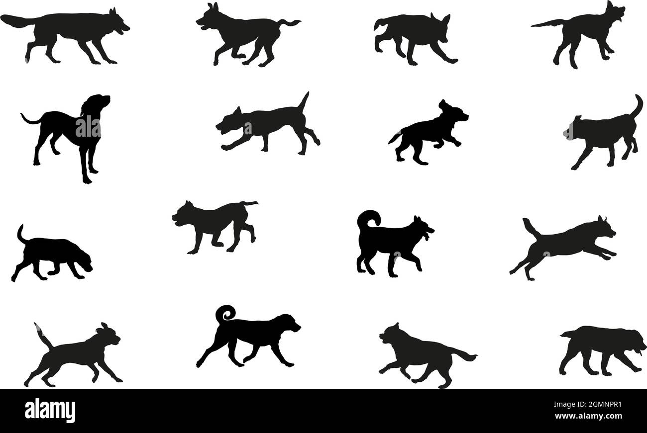 Groupe de chiens de différentes races. Silhouette de chien noire. Chiens de course, debout, marchant, sautant. Isolé sur un fond blanc. Animaux de compagnie. Vecteur illus Illustration de Vecteur