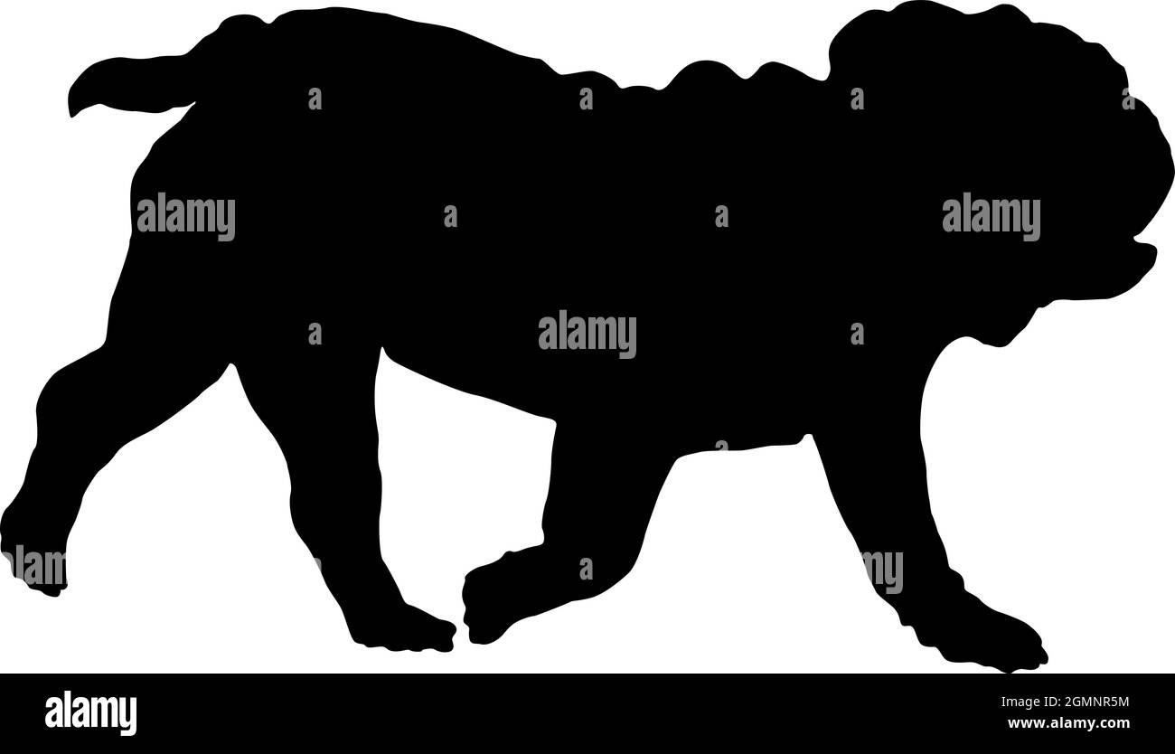 Silhouette de chien noire. Chien de course à pied anglais chiot. Animaux de compagnie. Isolé sur un fond blanc. Illustration vectorielle. Illustration de Vecteur Silhouette de chien noire. Chien de course à pied anglais chiot. Animaux de compagnie. Isolé sur un fond blanc. Illustration vectorielle. Illustration de Vecteur