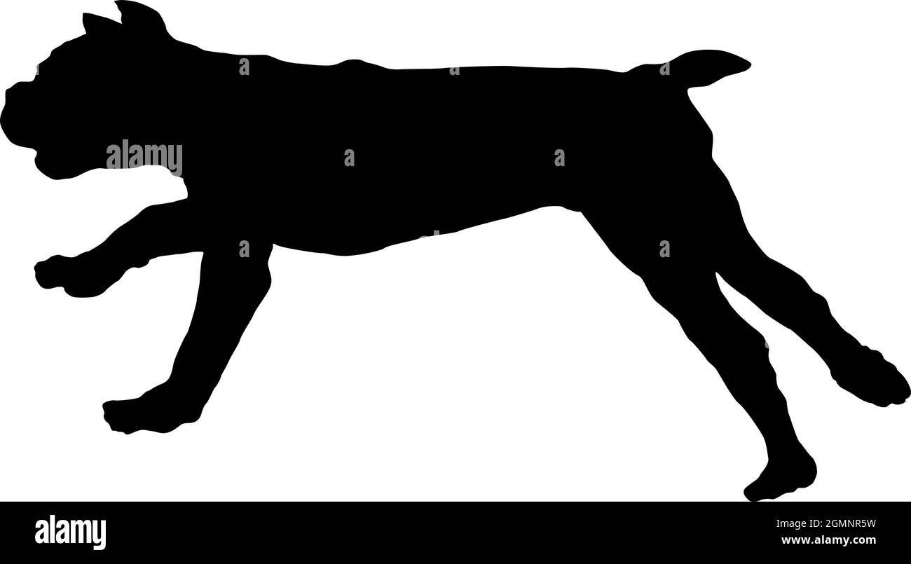 Course à pied et saut canne corso chiot. Silhouette de chien noire. Animaux de compagnie. Isolé sur un fond blanc. Illustration vectorielle. Illustration de Vecteur