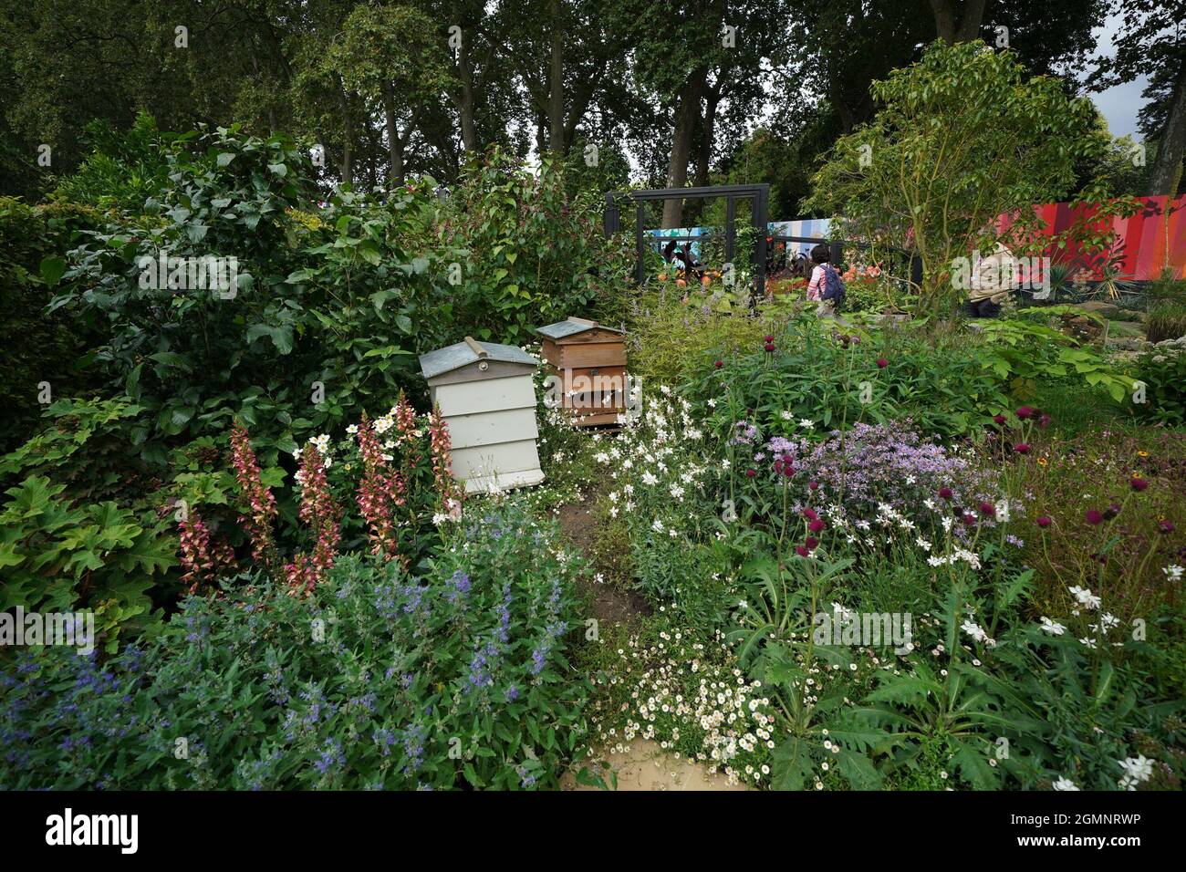 Le jardin de la RHS Cop26, conçu pour la prochaine conférence sur le climat, lors du salon des fleurs de la RHS Chelsea, au Royal Hospital Chelsea, à Londres. Date de la photo: Lundi 20 septembre 2021. Banque D'Images