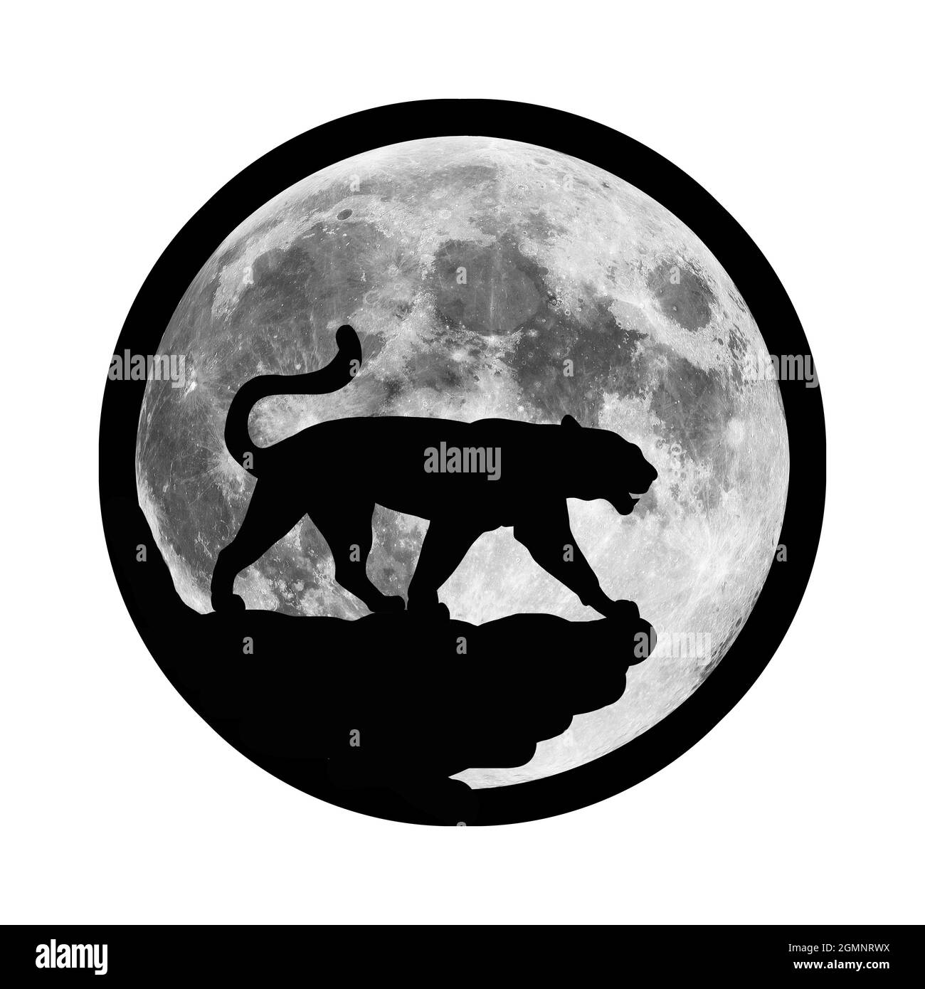 La silhouette d'un lion ou d'un tigre sur le fond de la lune. Illustration d'un chat sauvage prédateur. Un parent du couguar, panthère, léopard Banque D'Images