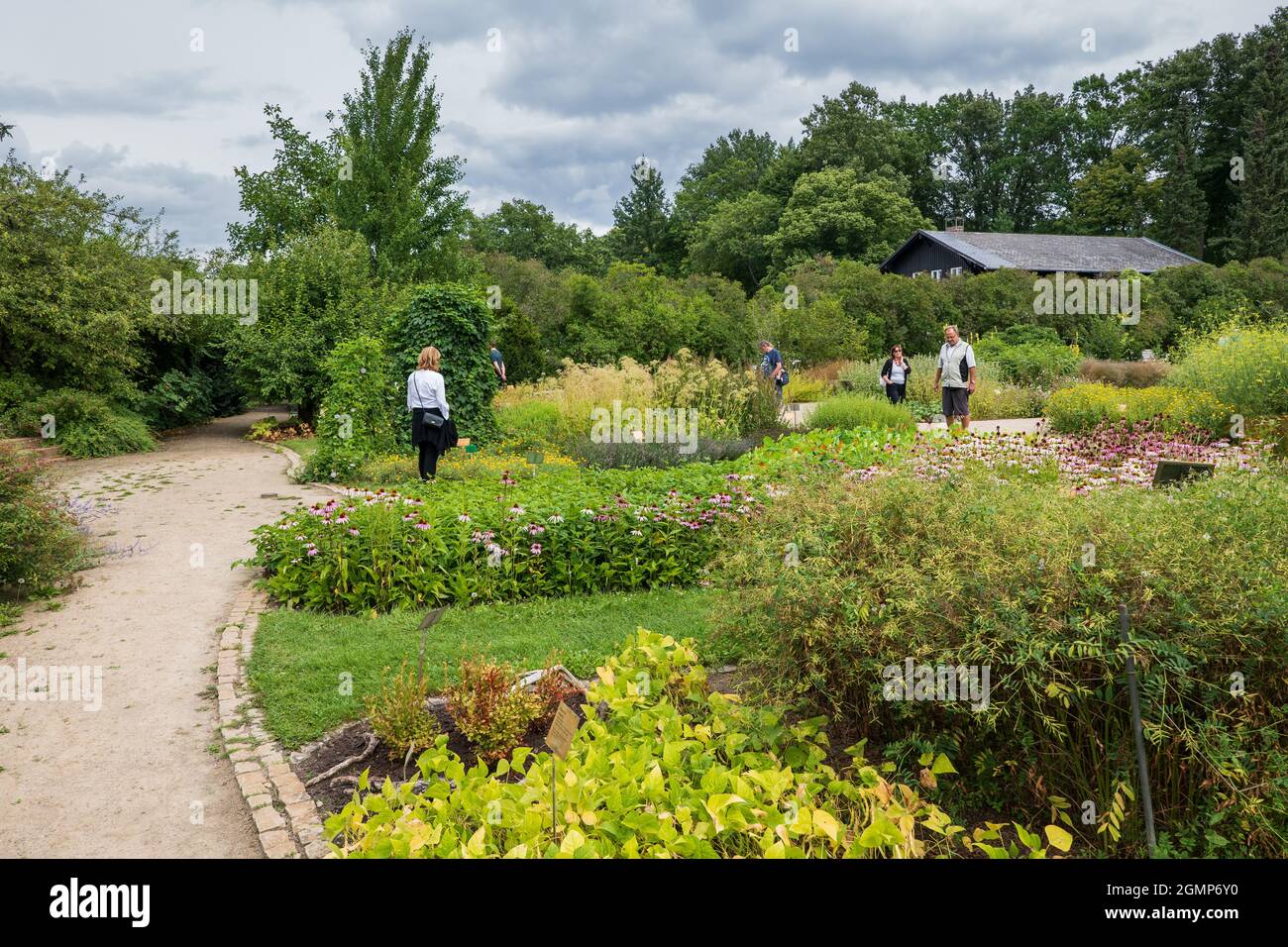 Berlin, Allemagne - 1er août 2021 : jardin botanique et musée botanique de Berlin Banque D'Images