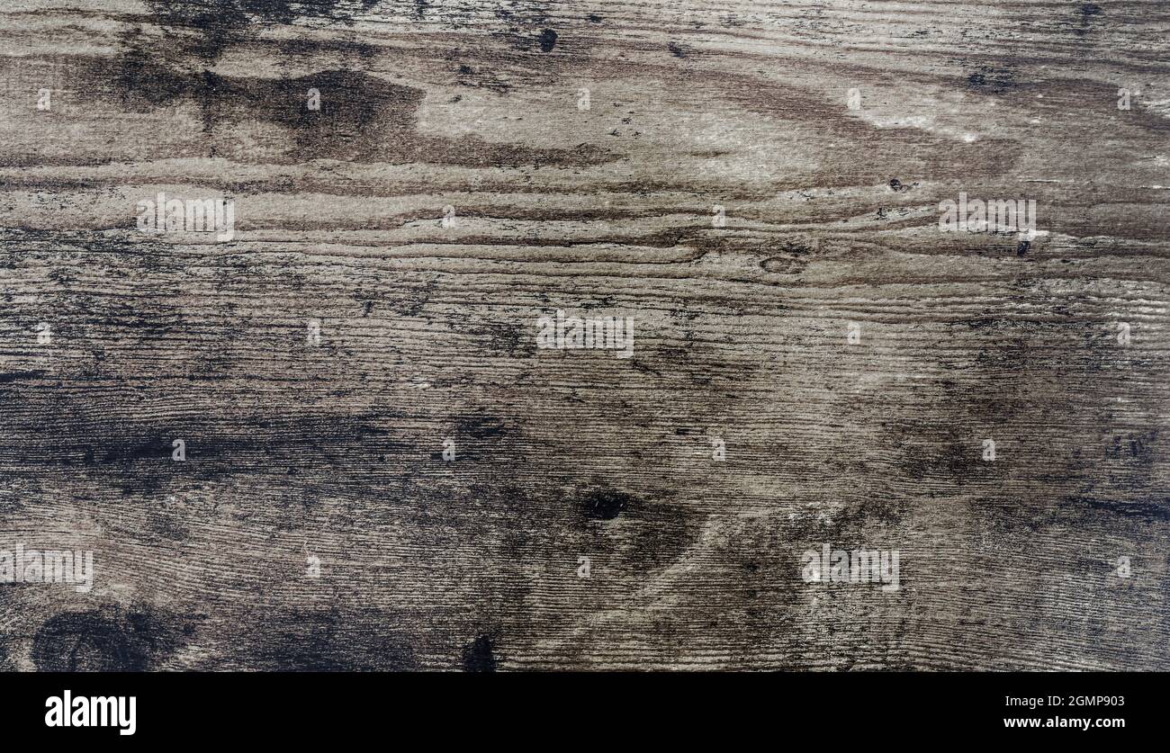 gros plan brun rustique grain de bois texturé arrière-plan Banque D'Images