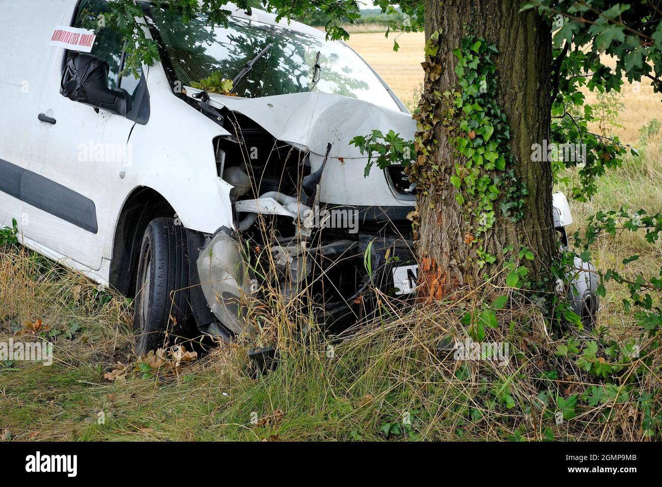 accident de camionnette blanche avec tronc d'arbre, norfolk, angleterre Banque D'Images