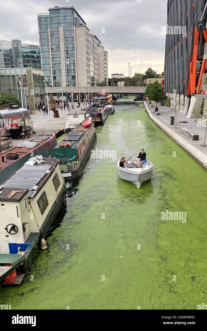 Un Go Boat électrique traverse les eaux couvertes d'algues du Grand Union Canal, dans le bassin de Paddington, à l'ouest de Londres. Date de la photo: Lundi 20 septembre 2021. Banque D'Images