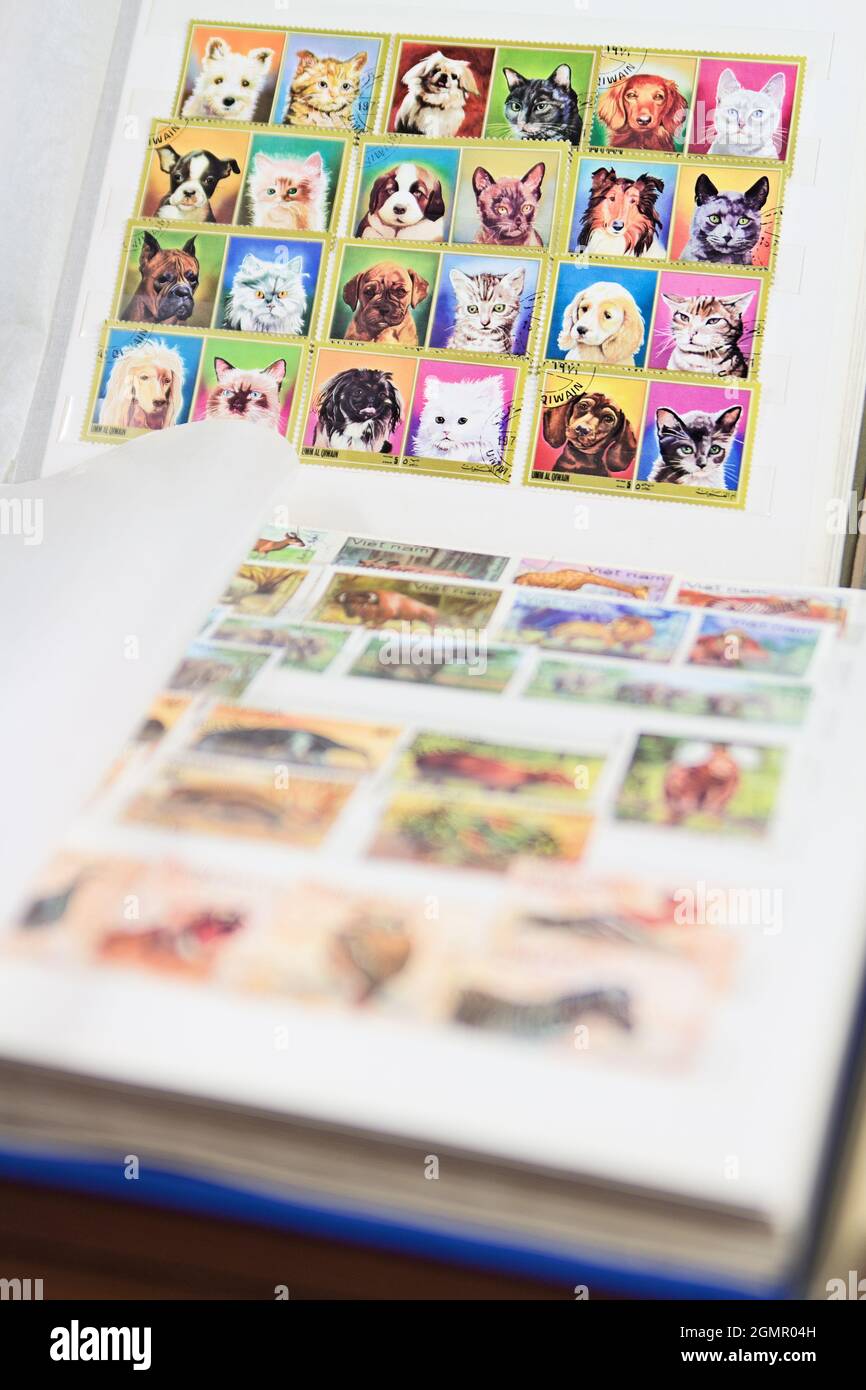 Albums avec le thème des timbres-poste animaux Banque D'Images