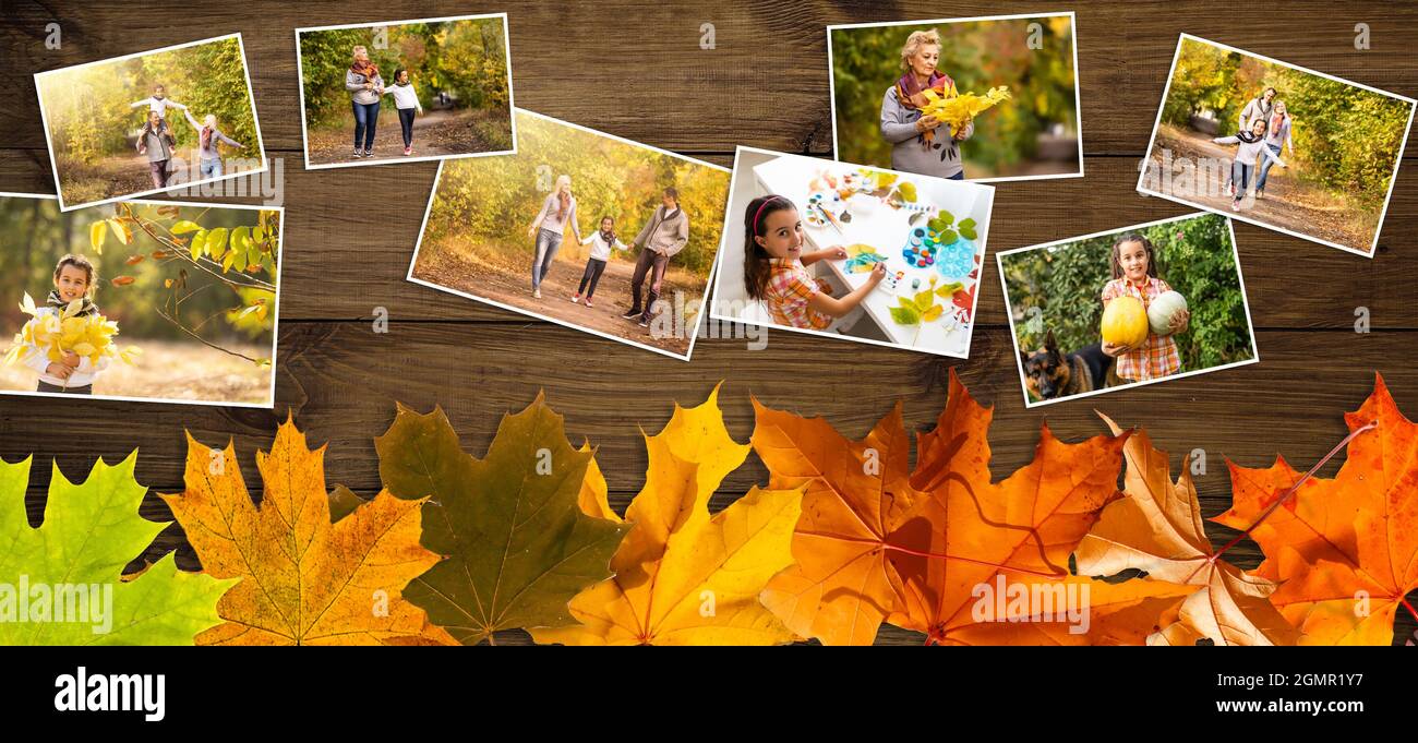 Composition de feuilles d'automne avec images. Copier l'espace. Banque D'Images
