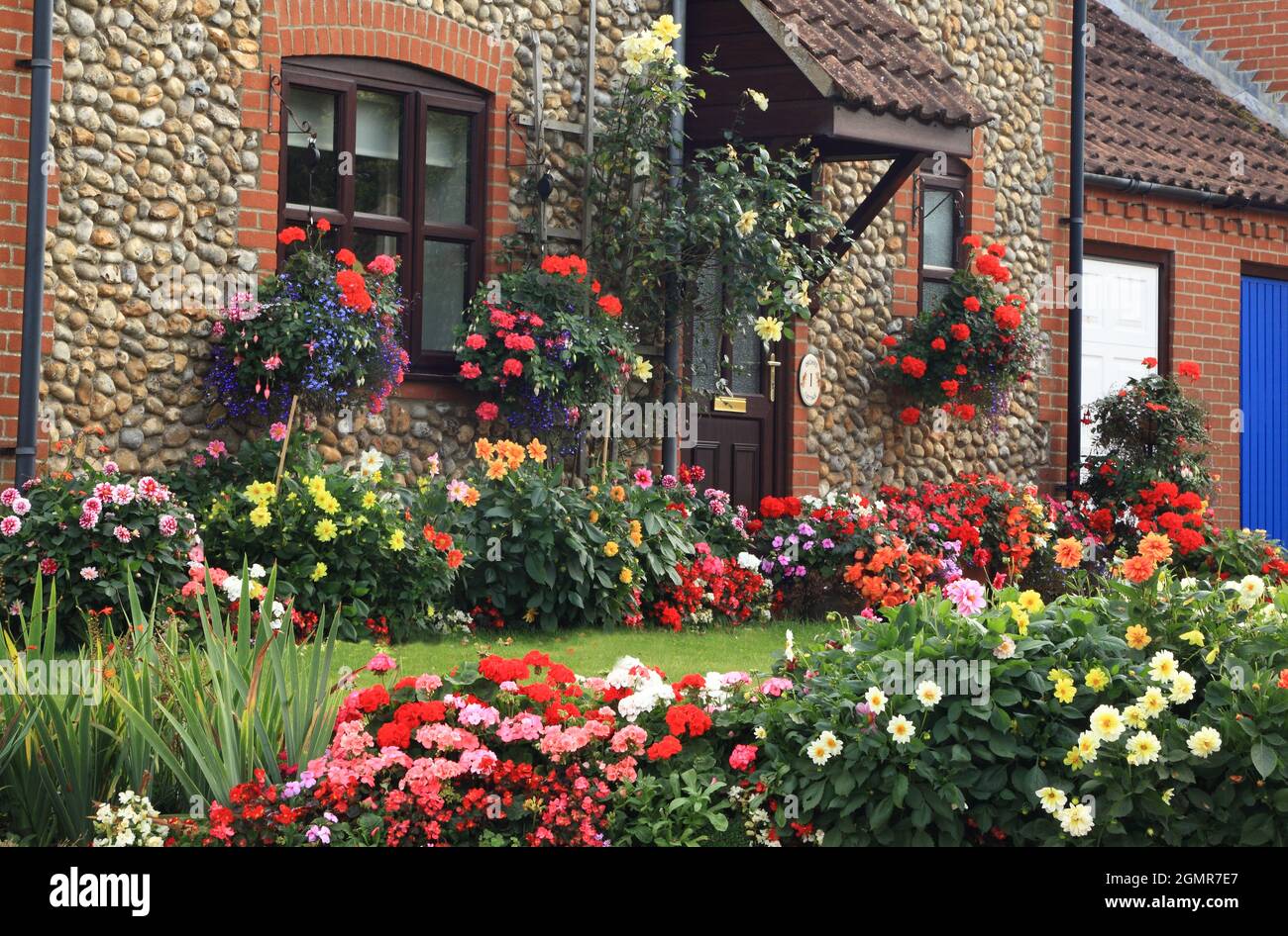 Jardin, fin d'été, maison, pelouse, petits jardins à l'avant, Norfolk, Angleterre Banque D'Images