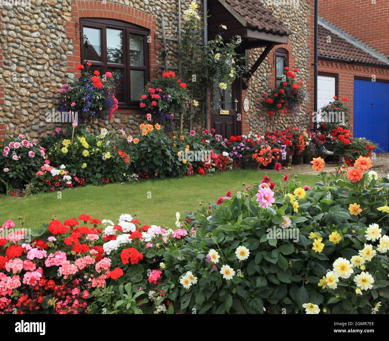 Jardin, fin d'été, maison, pelouse, petits jardins à l'avant, Norfolk, Angleterre Banque D'Images
