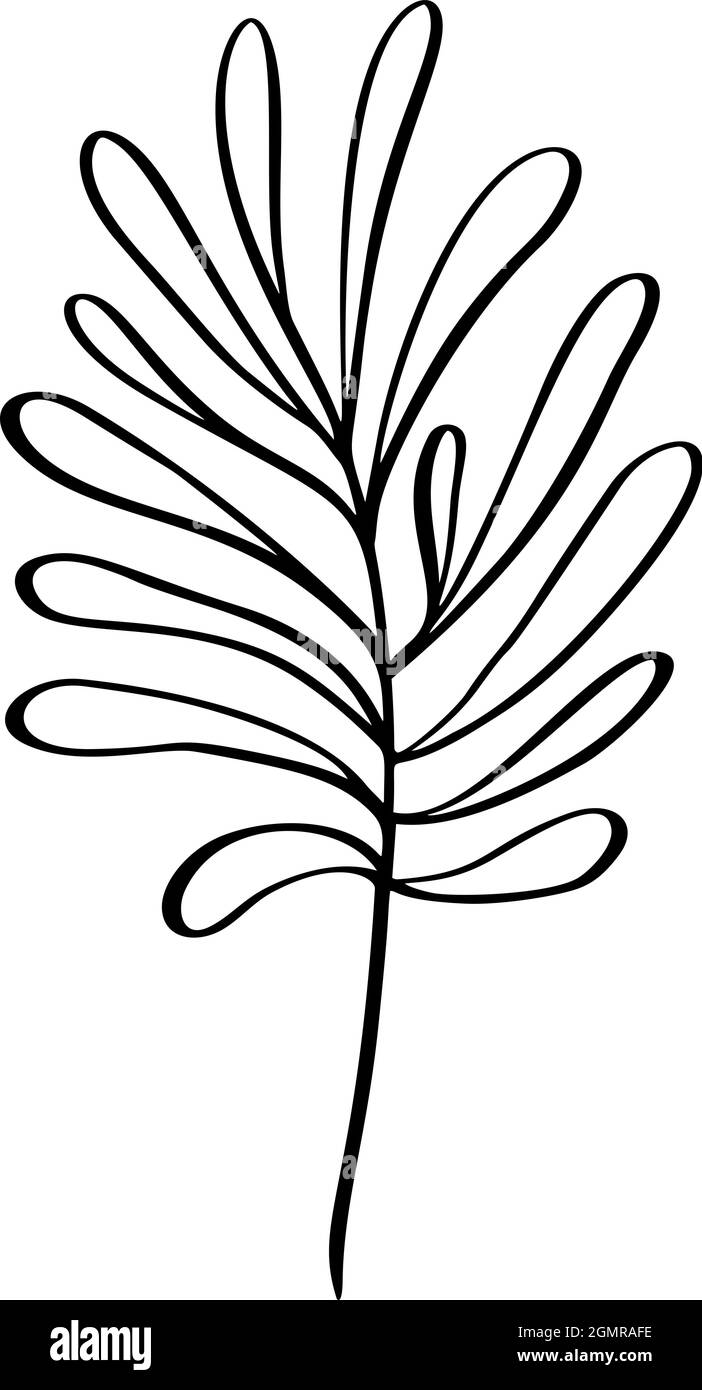 Illustration abstraite moderne du vecteur de feuilles d'herbe. Style art noir et blanc. Illustration à la mode isolée exotique jungle contemporaine. Parfait pour Illustration de Vecteur