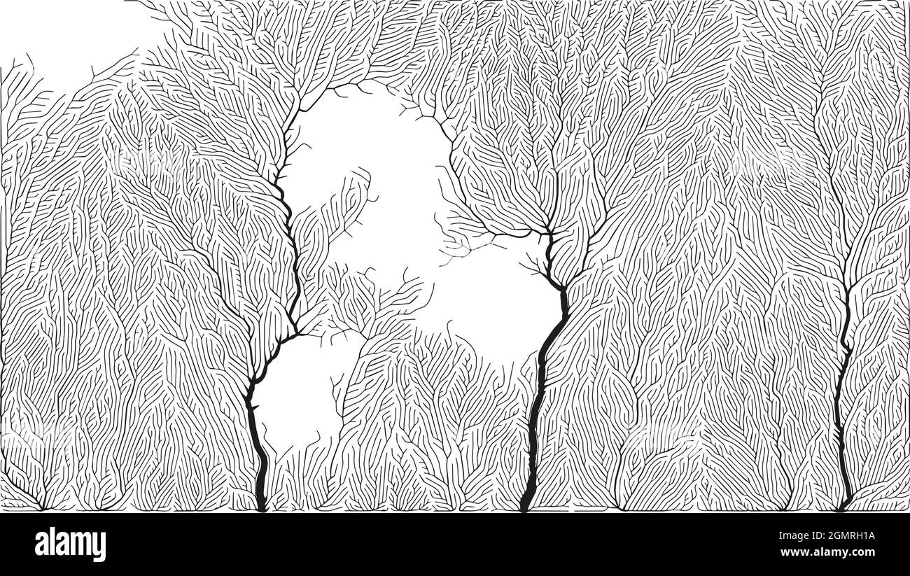 Modèle de croissance. Structure de branchement générative. Filet organique de la texture des vaisseaux. Illustration de Vecteur