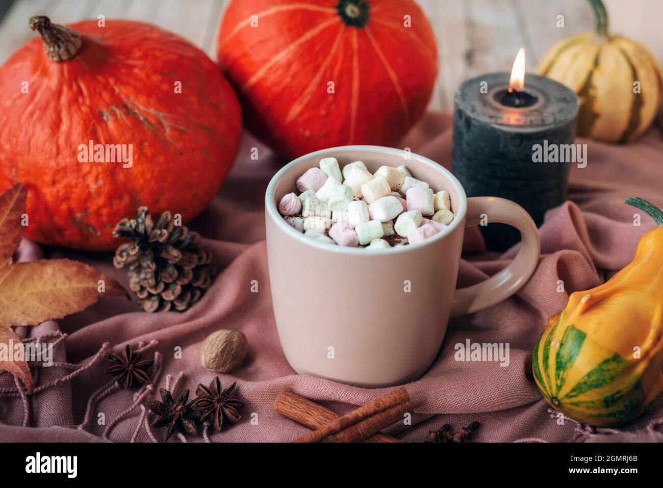 L'automne encore la vie avec le mug et les guimauves de cacao, le foulard rose, les citrouilles, les feuilles, les bougies et les épices. Gros plan Banque D'Images