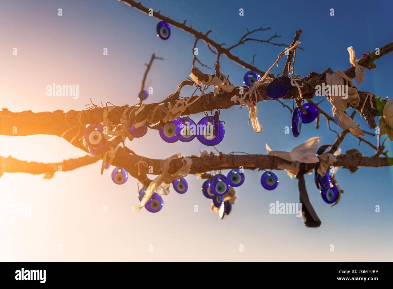 Perles d'oeil de mal, des dizaines de perles d'oeil de mal liées à une branche d'arbre, la culture turque et le talisman de se cacher de la mauvaise énergie, le ciel bleu et l'oeil de mal bleu Banque D'Images