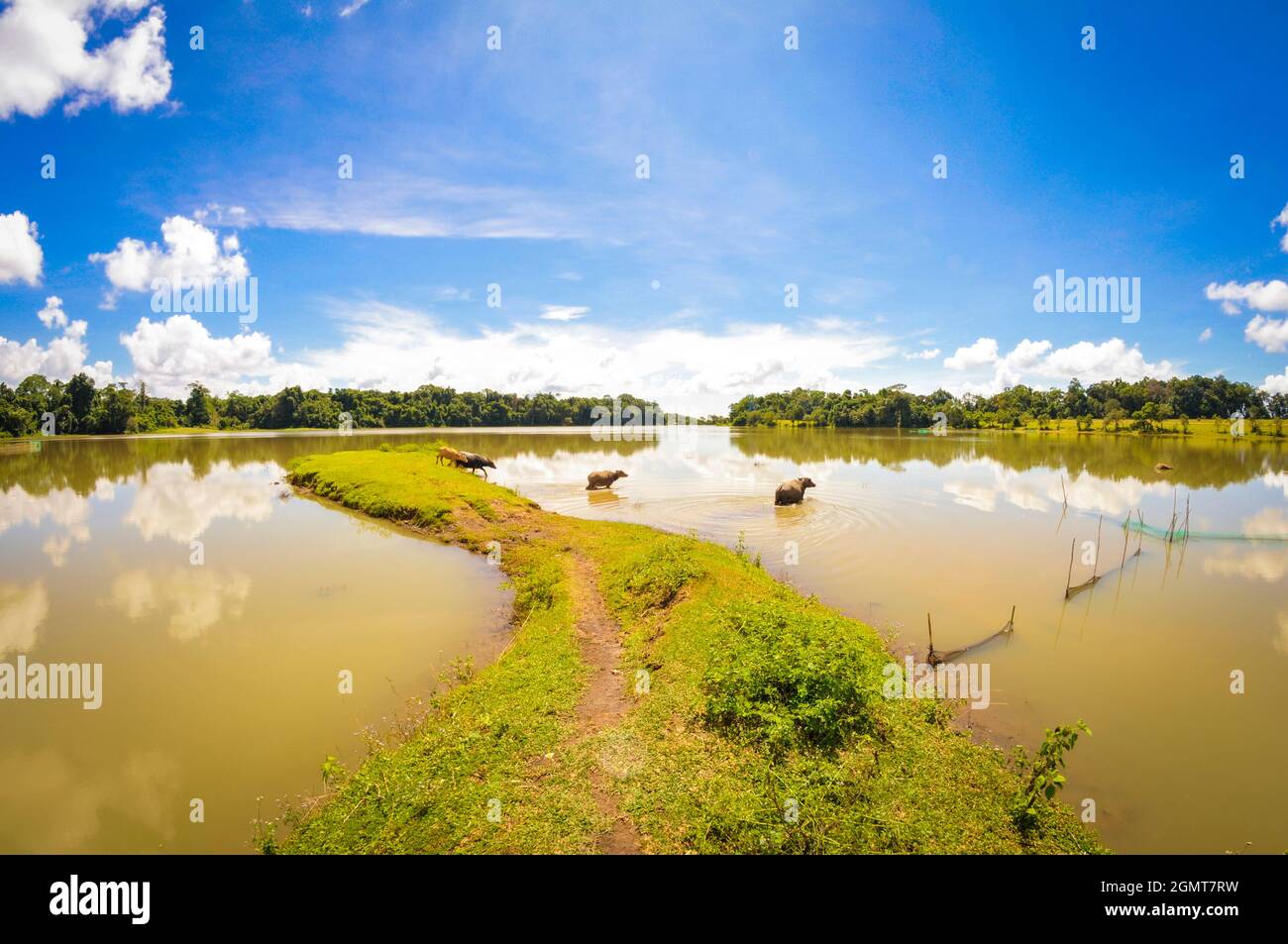 Beau paysage dans la province de Binh Phuoc au sud du Vietnam Banque D'Images