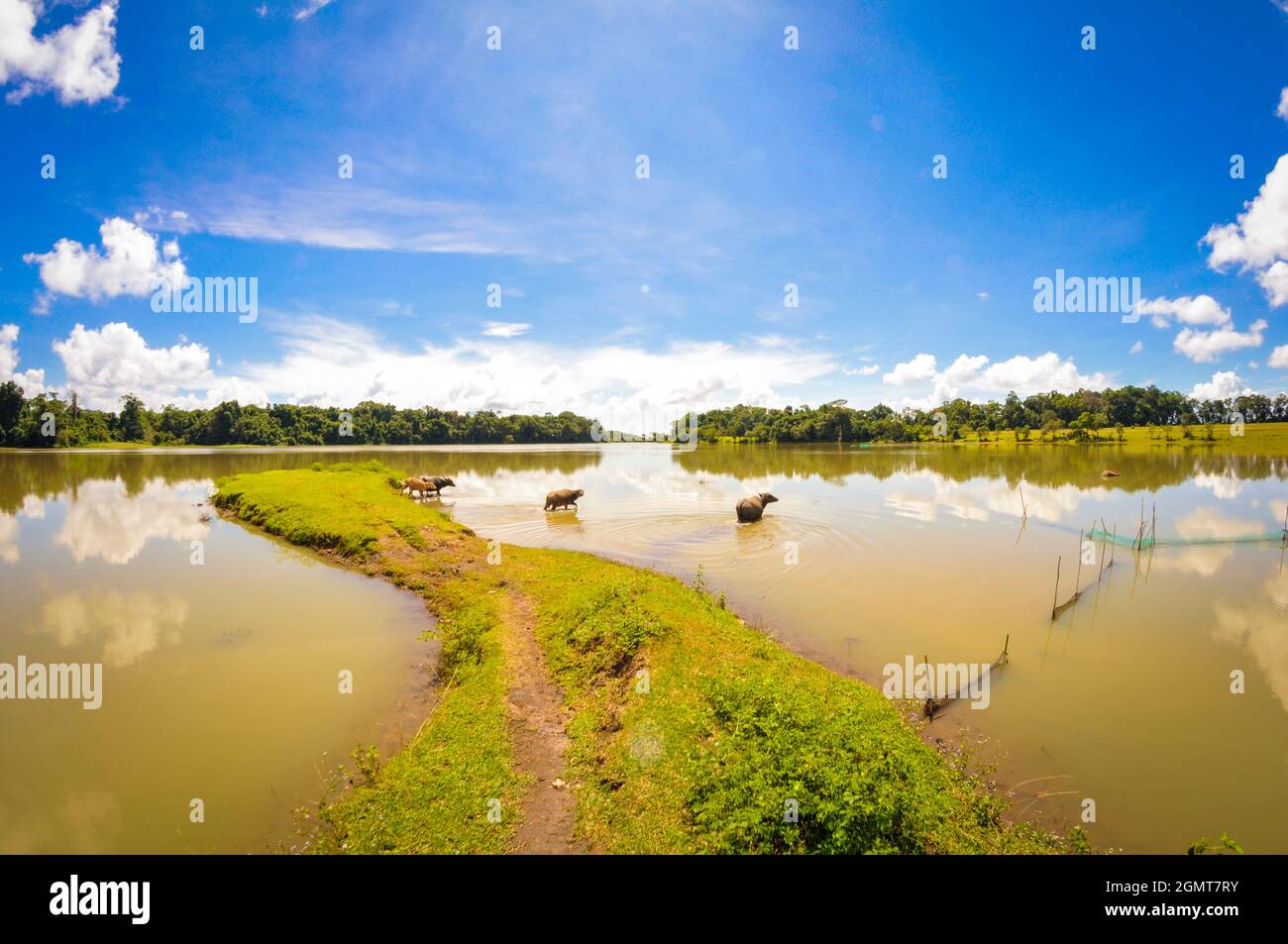 Beau paysage dans la province de Binh Phuoc au sud du Vietnam Banque D'Images