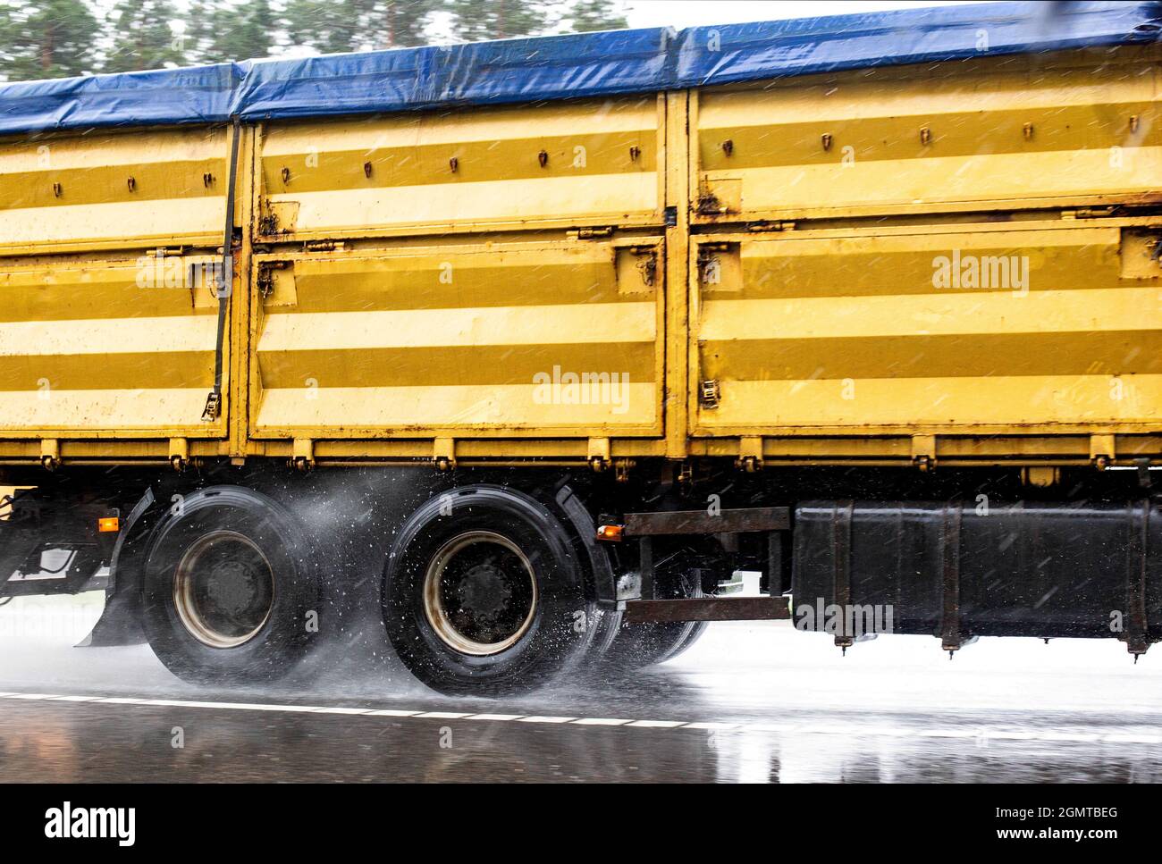 Un camion à grains jaunes avec une surcharge pour le soja roule sur de l'asphalte humide. Concept de transport de marchandises par temps pluvieux, route glissante Banque D'Images