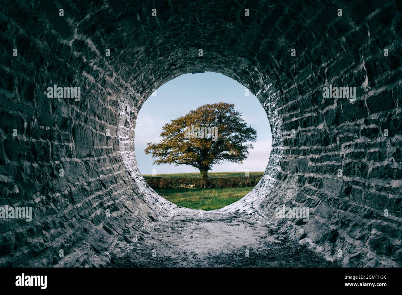 Baie encadrée d'arbres un tunnel en pierre. Banque D'Images