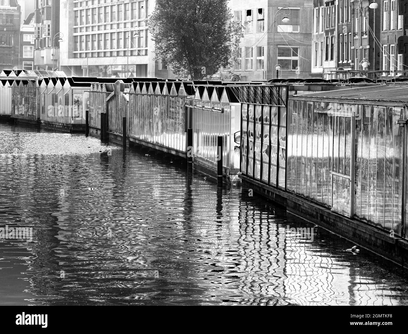Amsterdam, pays-Bas - 28 mai 2016; pas de personnes en vue.Amsterdam, pays-Bas - 28 mai 2016; pas de personnes en vue. Le célèbre marché aux fleurs d'Amsterdam, Banque D'Images