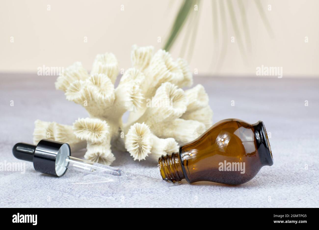 Bouteille pour huiles essentielles et cosmétiques. Bouteille cosmétique brune, pipette et corral sur fond beige avec une branche verte. Cosmétiques naturels biologiques Banque D'Images