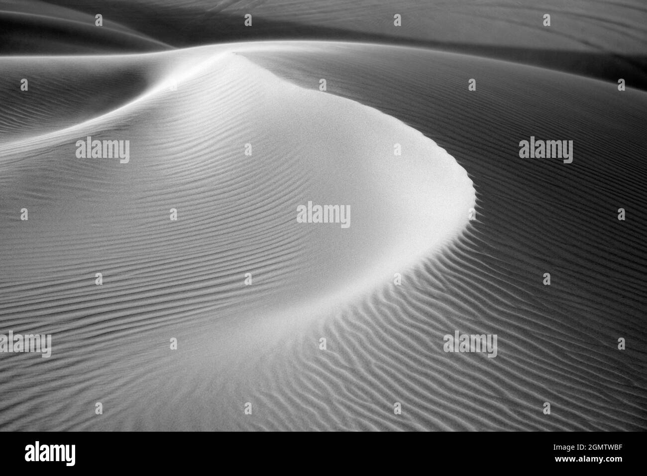 Ondulations dans le sable - DubaiDubai, Émirats Arabes Unis - 6 février 2008 les sables vifs des déserts en dehors de Dubaï, Émirats Arabes Unis offrent une fie Banque D'Images