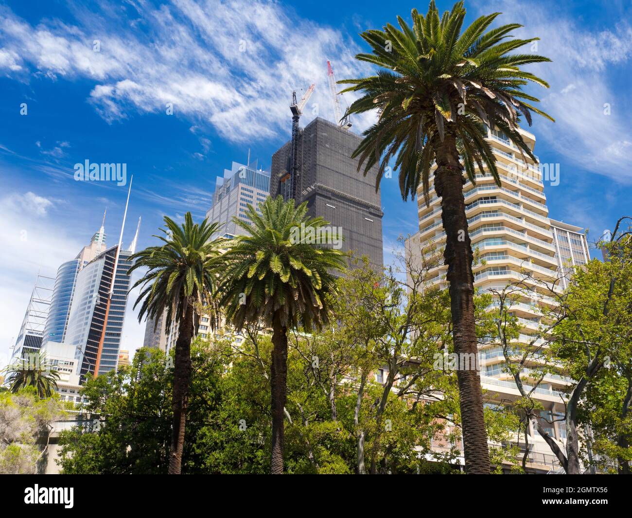 Sydney, Australie - 17 février 2109 ; situé au sud du port, de l'Opéra et à l'ouest du centre-ville, les magnifiques jardins botaniques sont une véritable fase Banque D'Images