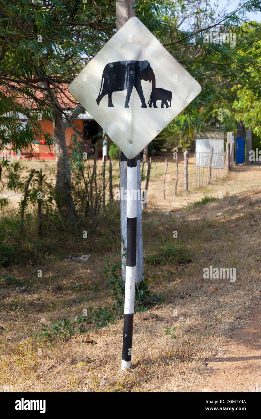 Province du Sud, Sri Lanka - 15 février 2014 panneau d'avertissement vu par une route où les éléphants sont connus pour traverser. Croyez-moi, pour toute une gamme de reaso Banque D'Images