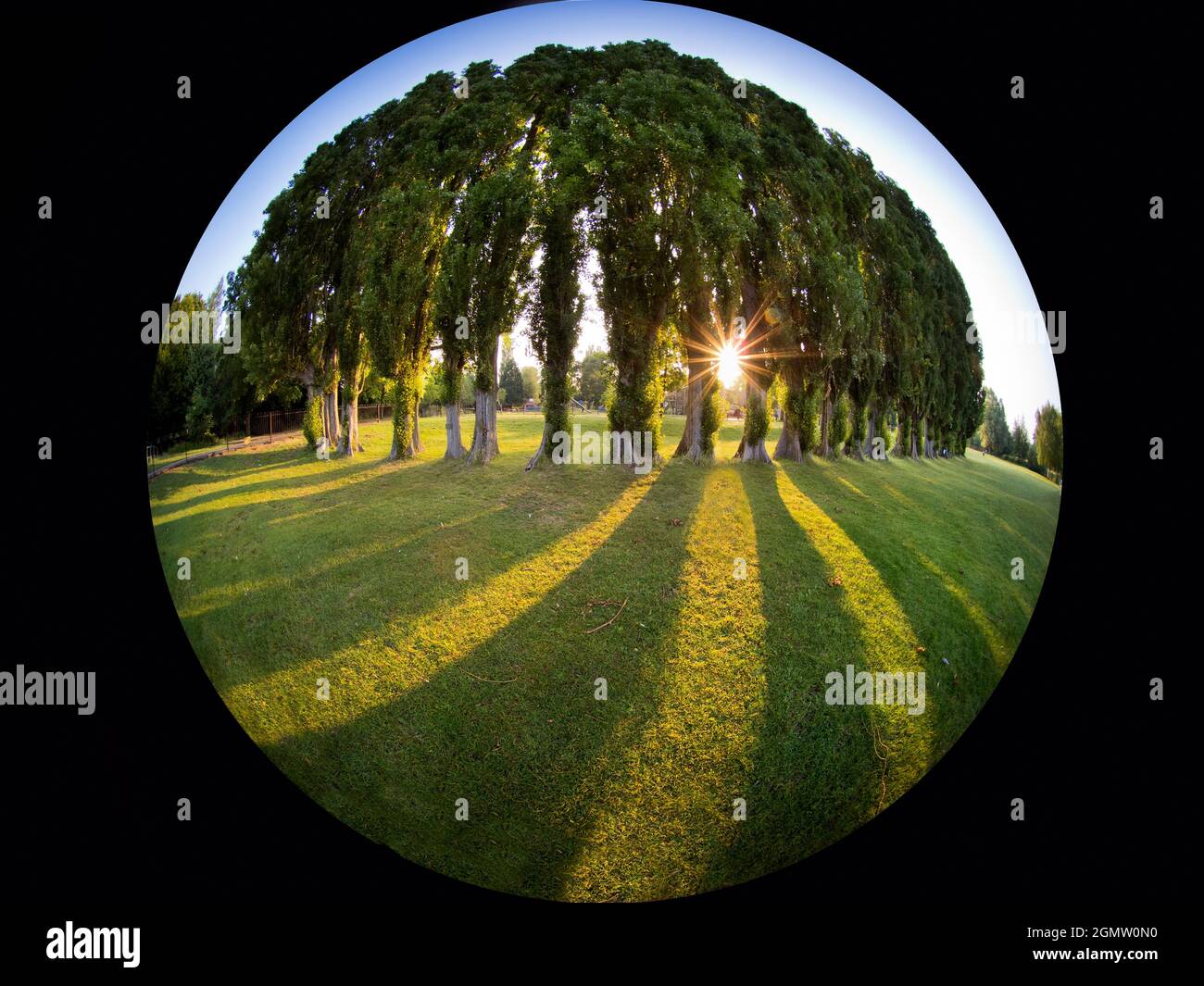 Abingdon, Angleterre - 24 juin 2020 ; pas de personne en balle. Abbey Fields est un parc public adjacent à la Tamise à Abingdon, dans l'Oxfordshire. Il prend ses Banque D'Images