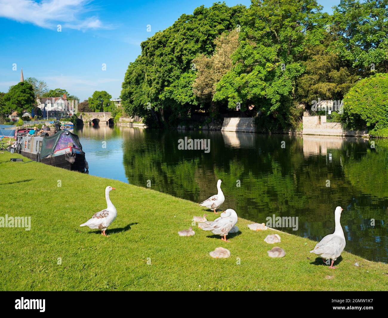 Abingdon, Angleterre - 20 mai 2020; pas de personnes en vue. Abingdon-on-Thames est la plus ancienne ville d'Angleterre. Ici, nous voyons la vue de la Tamise Banque D'Images