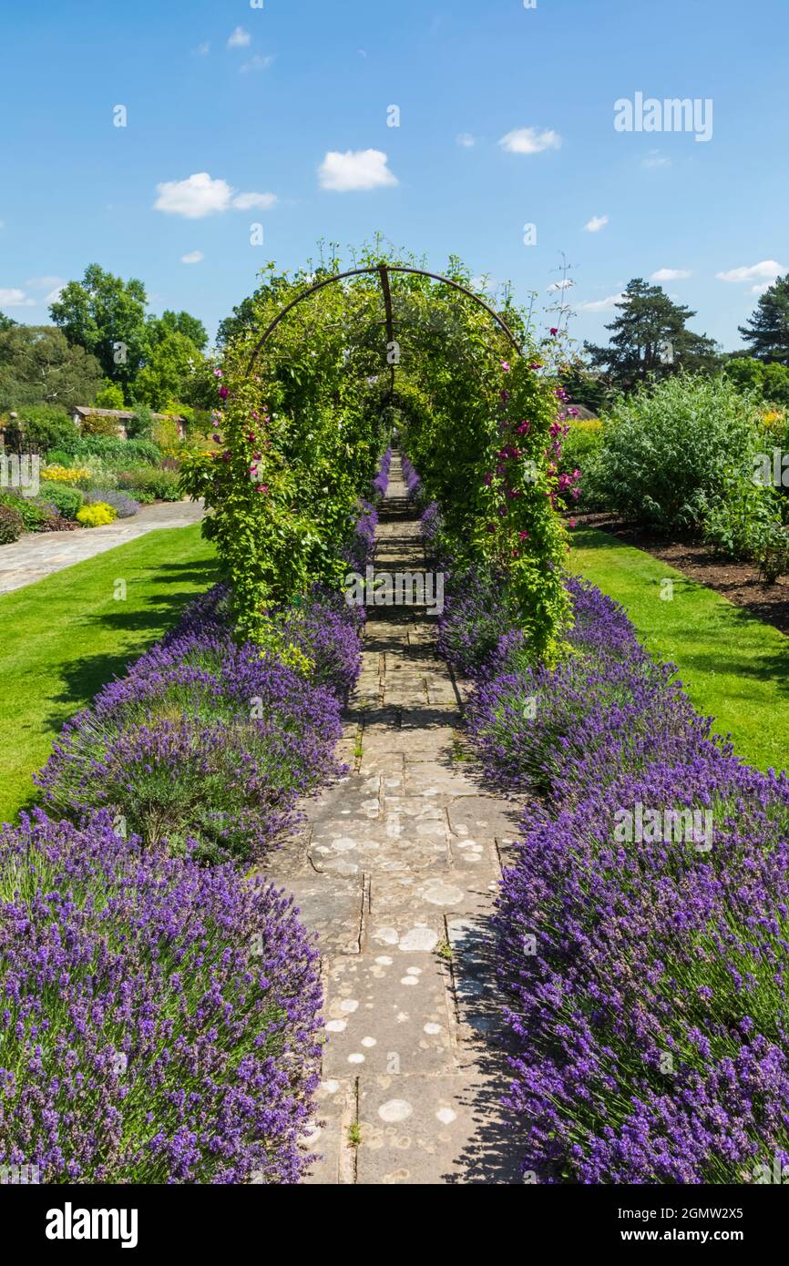 Angleterre, Hampshire, Test Valley, Stockbridge, Longstock, Leckford Estate, Waitrose Farm et Longstock Park nursery Banque D'Images