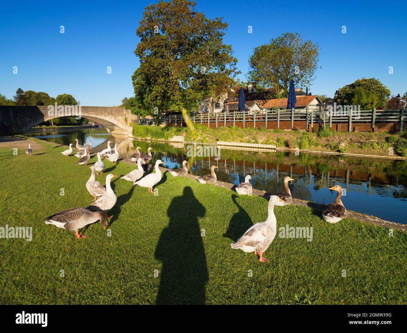 Abingdon, Angleterre - 13 mai 2020; pas de personnes en vue. Abingdon-on-Thames est la plus ancienne ville d'Angleterre. Ici, nous voyons la vue de la Tamise Banque D'Images