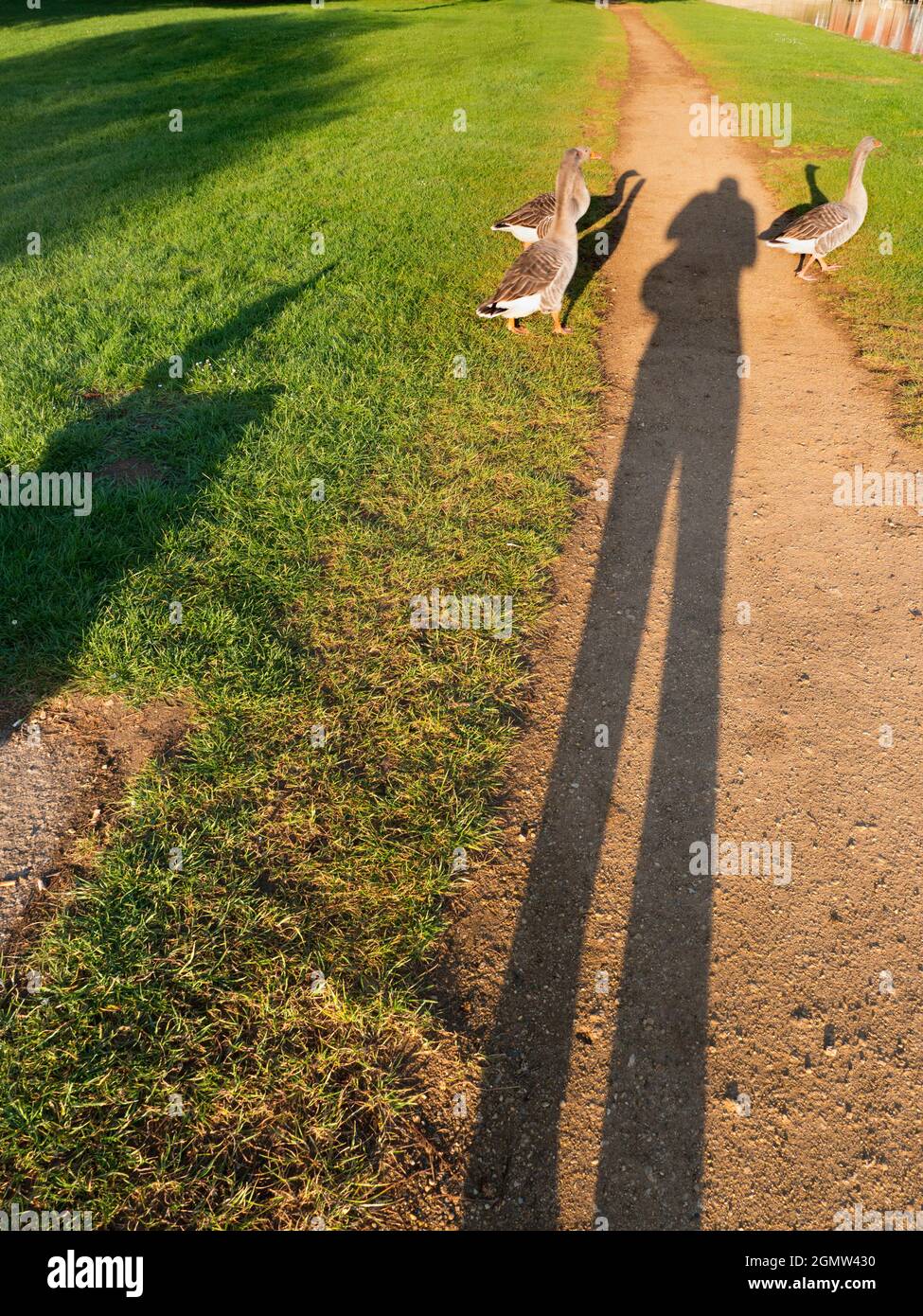 Abingdon, Angleterre - 21 avril 2020; pas de personnes en vue. Il y a une belle vue de cette partie de la rive de la Tamise à Abingdon; si vous regardez, vous pouvez Banque D'Images