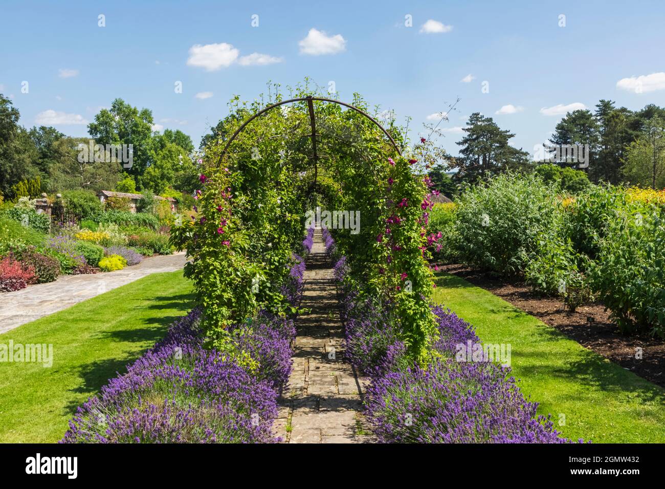 Angleterre, Hampshire, Test Valley, Stockbridge, Longstock, Leckford Estate, Waitrose Farm et Longstock Park nursery Banque D'Images