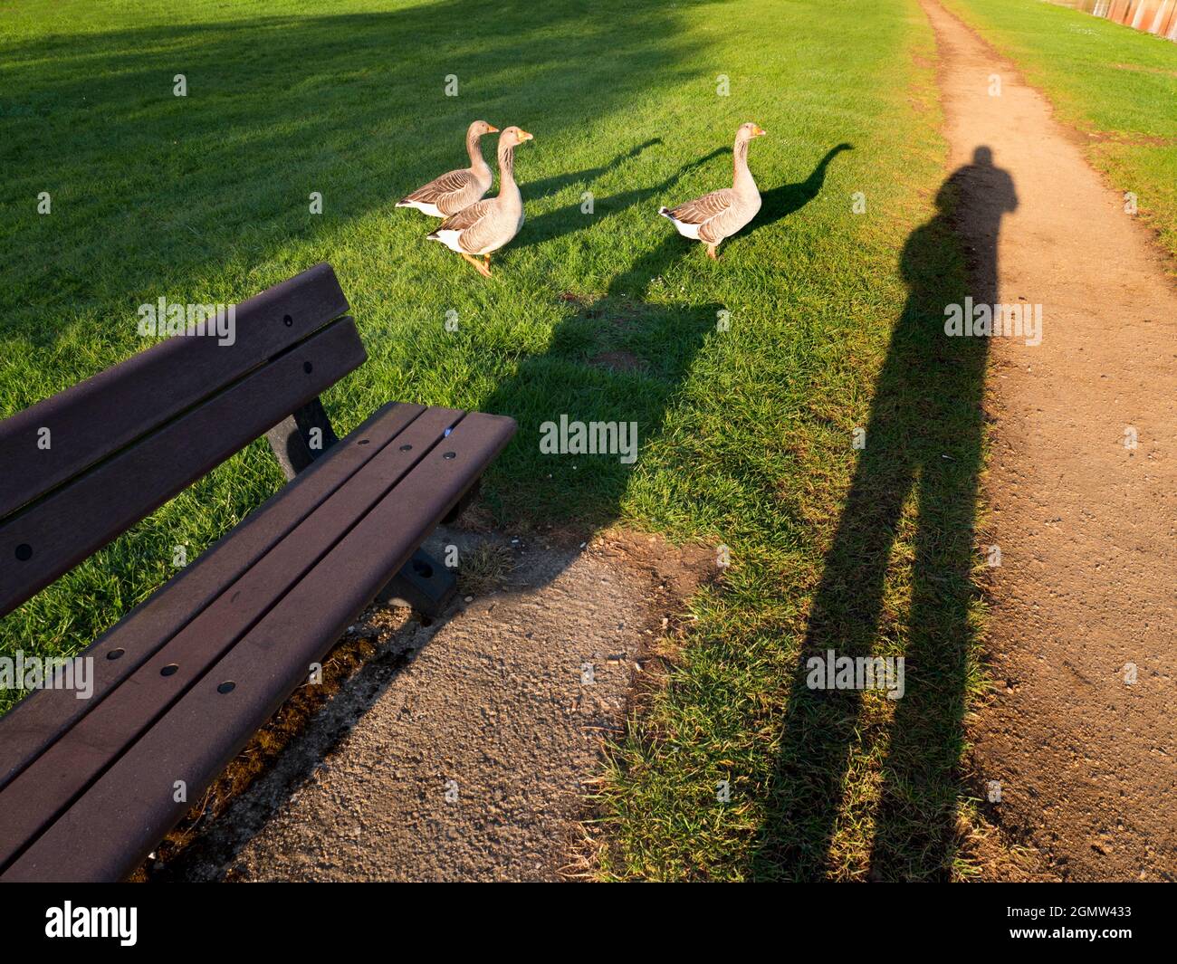 Abingdon, Angleterre - 21 avril 2020; pas de personnes en vue. Il y a une belle vue de cette partie de la rive de la Tamise à Abingdon; si vous regardez, vous pouvez Banque D'Images