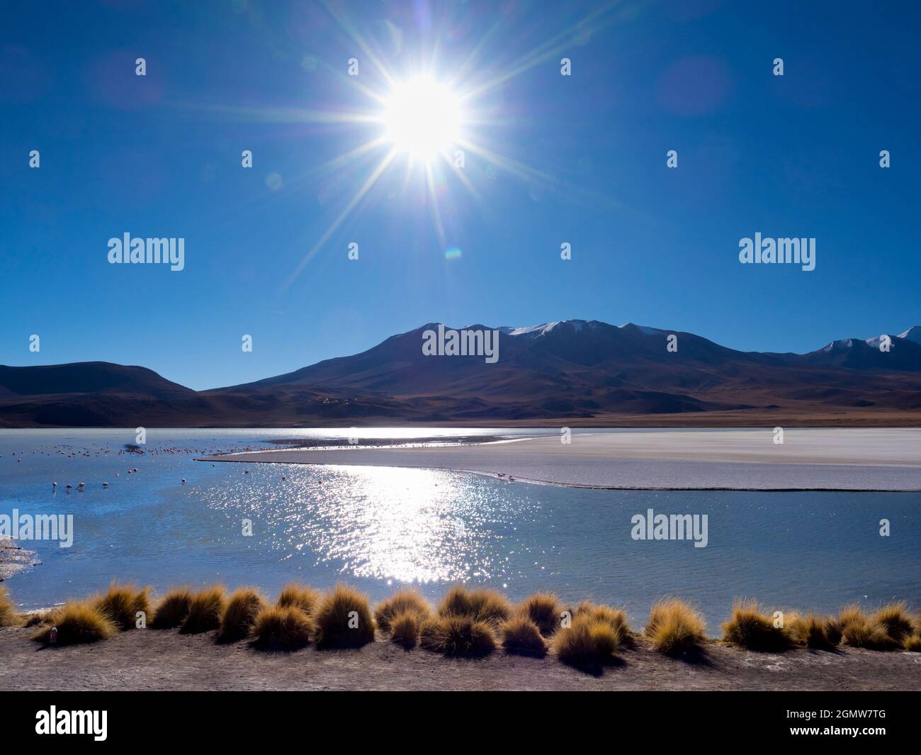 Potosi , Bolivie - 24 mai 2018 Laguna Hediona est un joli lac salé haut (4100m) dans l'altiplano du Sud-Ouest de la Bolivie. Malheureusement, son nom Banque D'Images