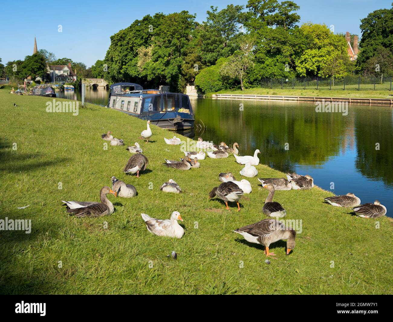 Abingdon, Angleterre - 20 mai 2020; pas de personnes en vue. Abingdon-on-Thames est la plus ancienne ville d'Angleterre. Ici, nous voyons la vue de la Tamise Banque D'Images