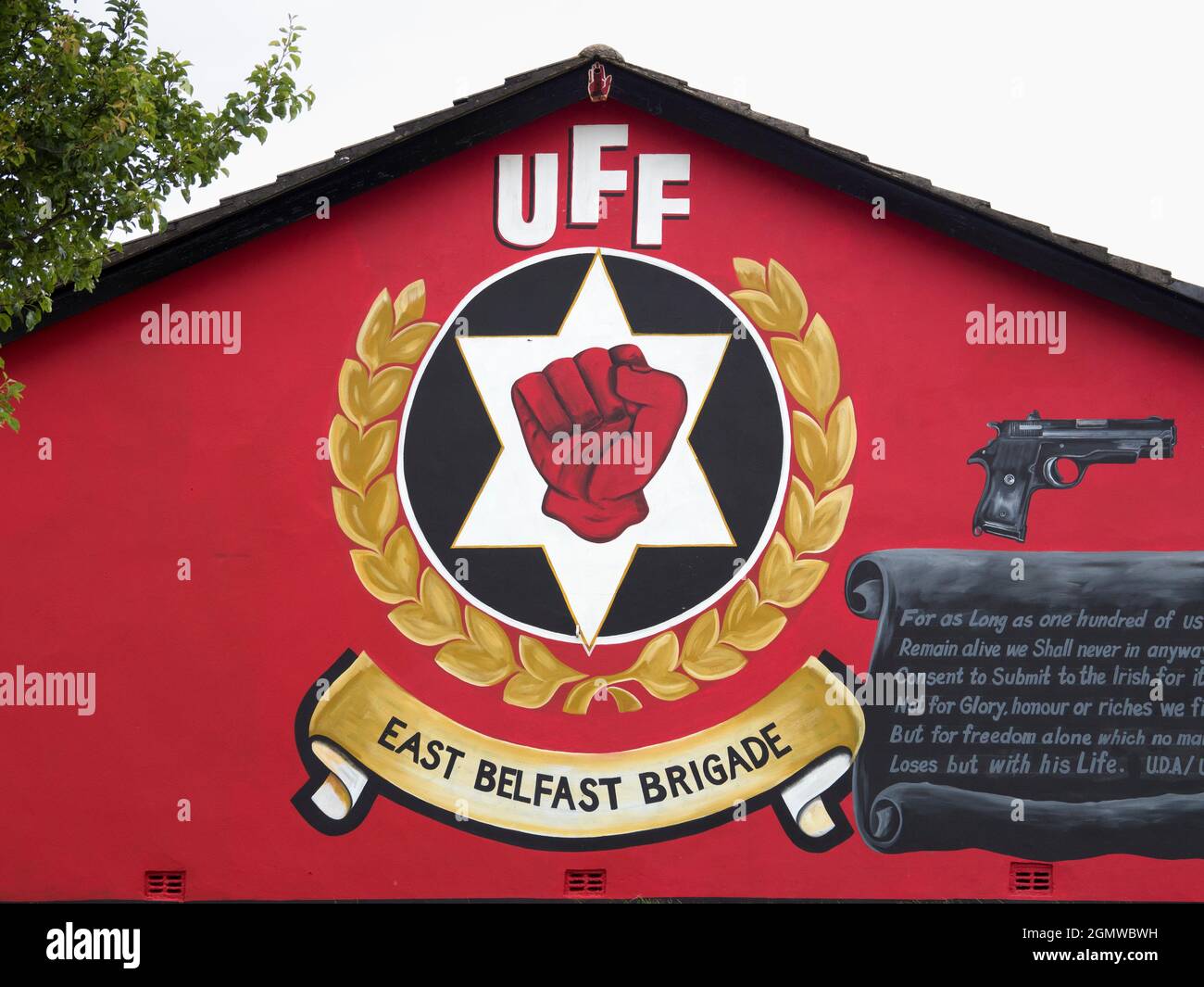 Belfast, Ulster - Royaume-Uni ; Belfast est une ville qui ne peut pas. Apparemment, laissez n'importe quel mur intact sans une touche de couleur. Le graffiti, especia Banque D'Images