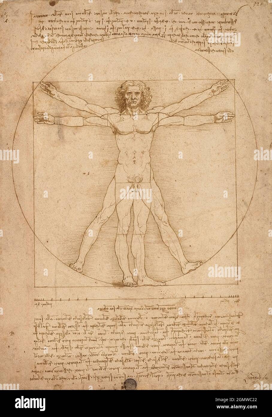 Uomo Vitruano de Leonardo Da Vinci 1490 -représentation des proportions idéales du corps humain, il tente de démontrer comment il peut être harmonieusement inscrit dans les deux figures 'parfaite' du cercle, qui symbolise le ciel, la perfection divine, et du carré, qui symbolise la Terre. Banque D'Images