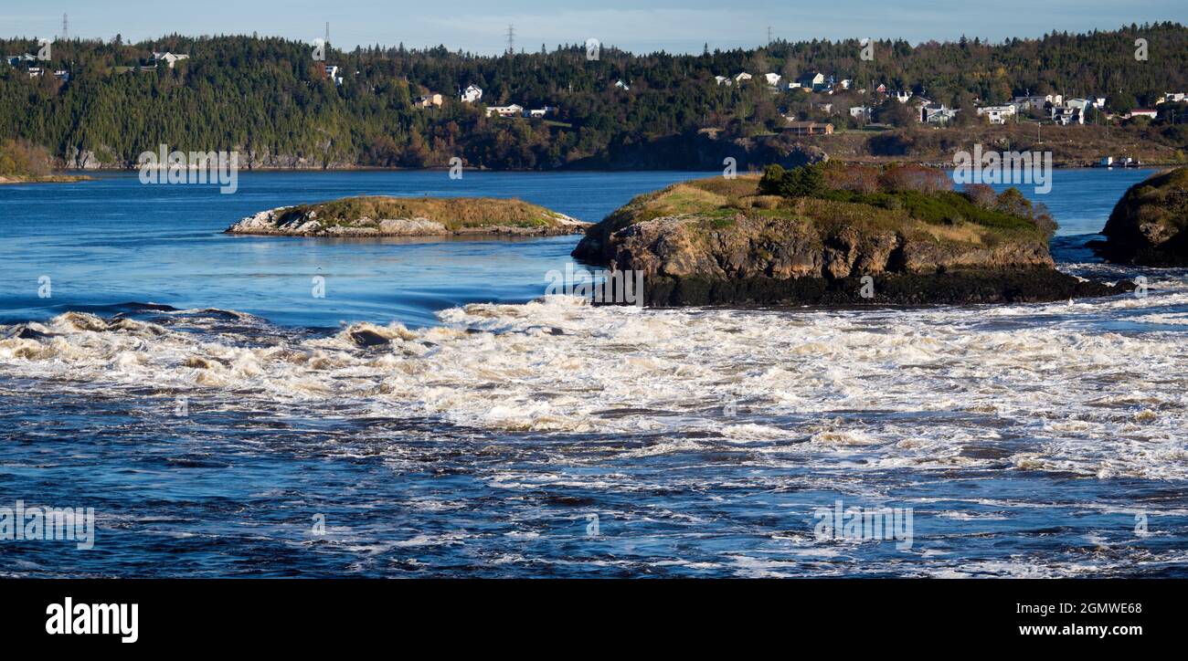 New Brusnwick, Canada - 9 septembre 2013; pas de personne en balle. Le torrent qui fait rage à Reversing Falls, rivière St John, en pleine inondation. Les chutes réversibles Banque D'Images