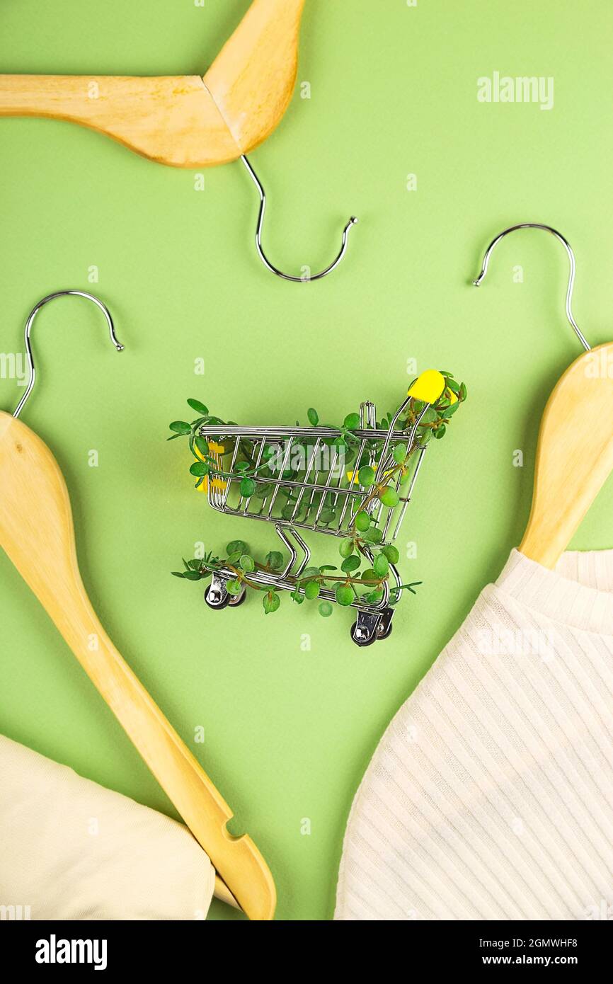 Panier enveniné avec des plantes sur fond vert parmi les cintres. Mode de vie écologique durable. Banque D'Images