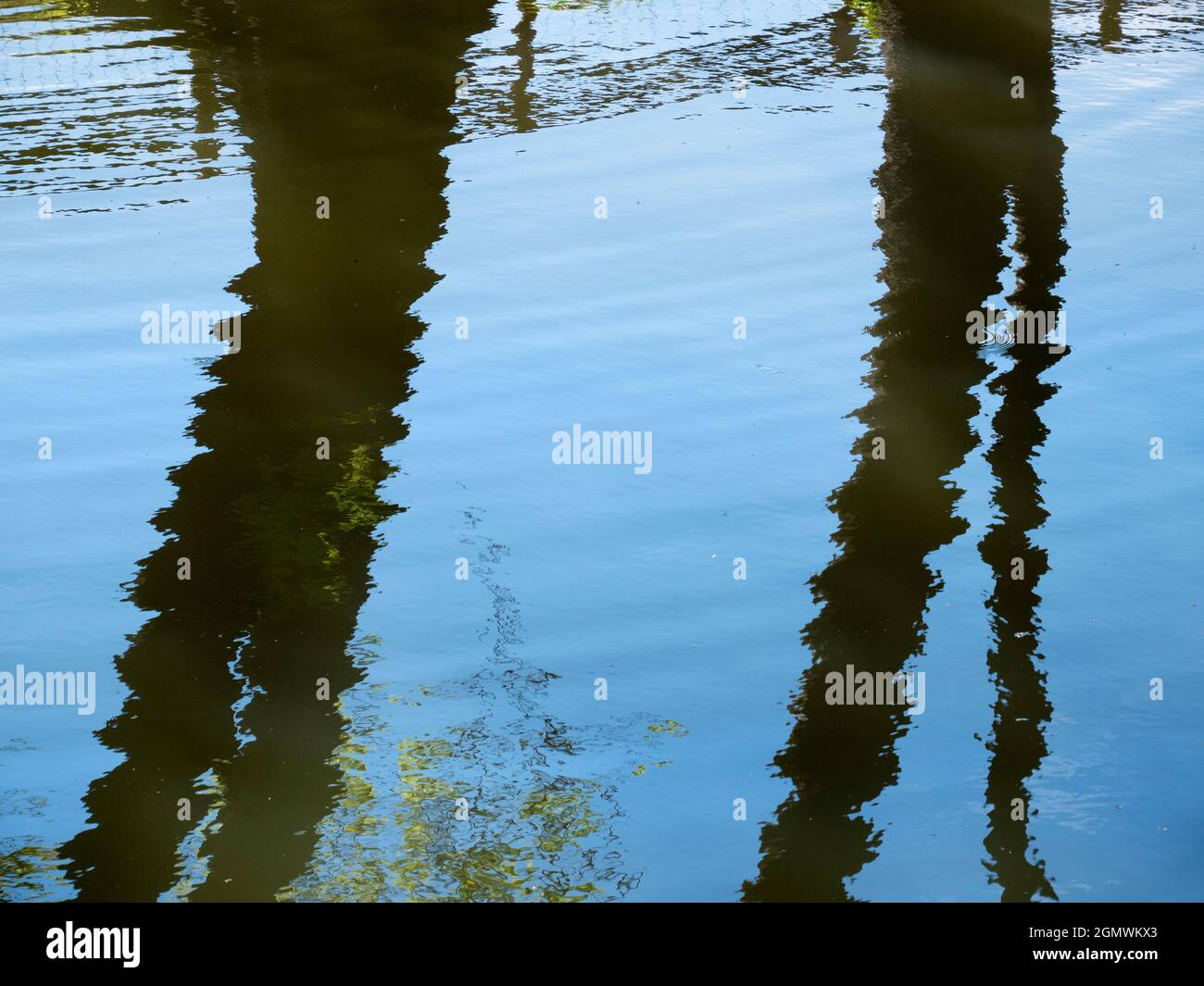 Oxford, Angleterre - 21 mai 2019 nous voyons ici le reflet des troncs d'arbres dans la rivière Cherwell et il passe près des jardins botaniques d'Oxford. Vous Banque D'Images