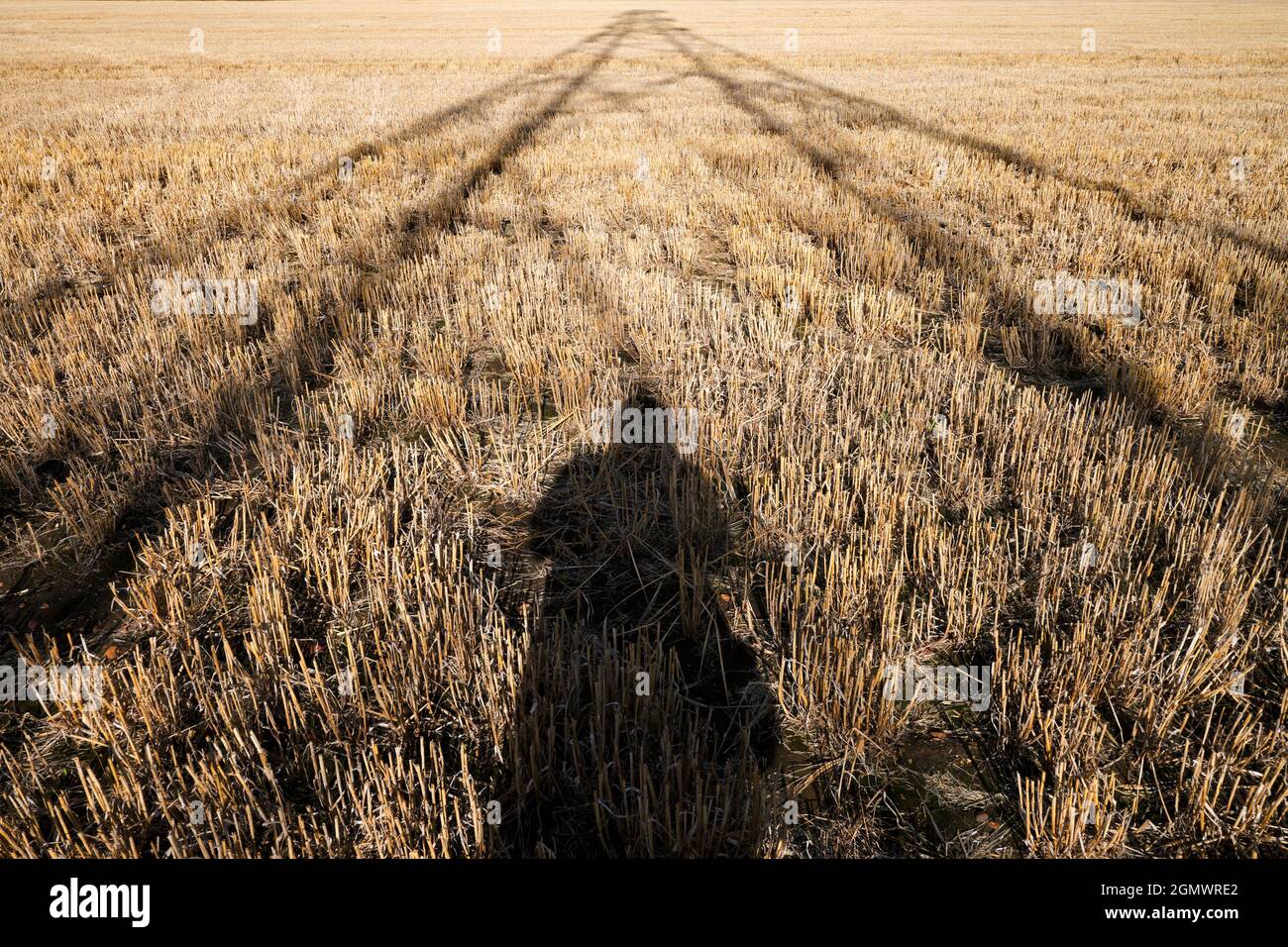 Oxfordshire, Angleterre - 28 juillet 2020; personne en vue. J'aime les pylônes d'électricité; je trouve leurs formes abstraites et gantantes sans fin fascinantes. Et h Banque D'Images