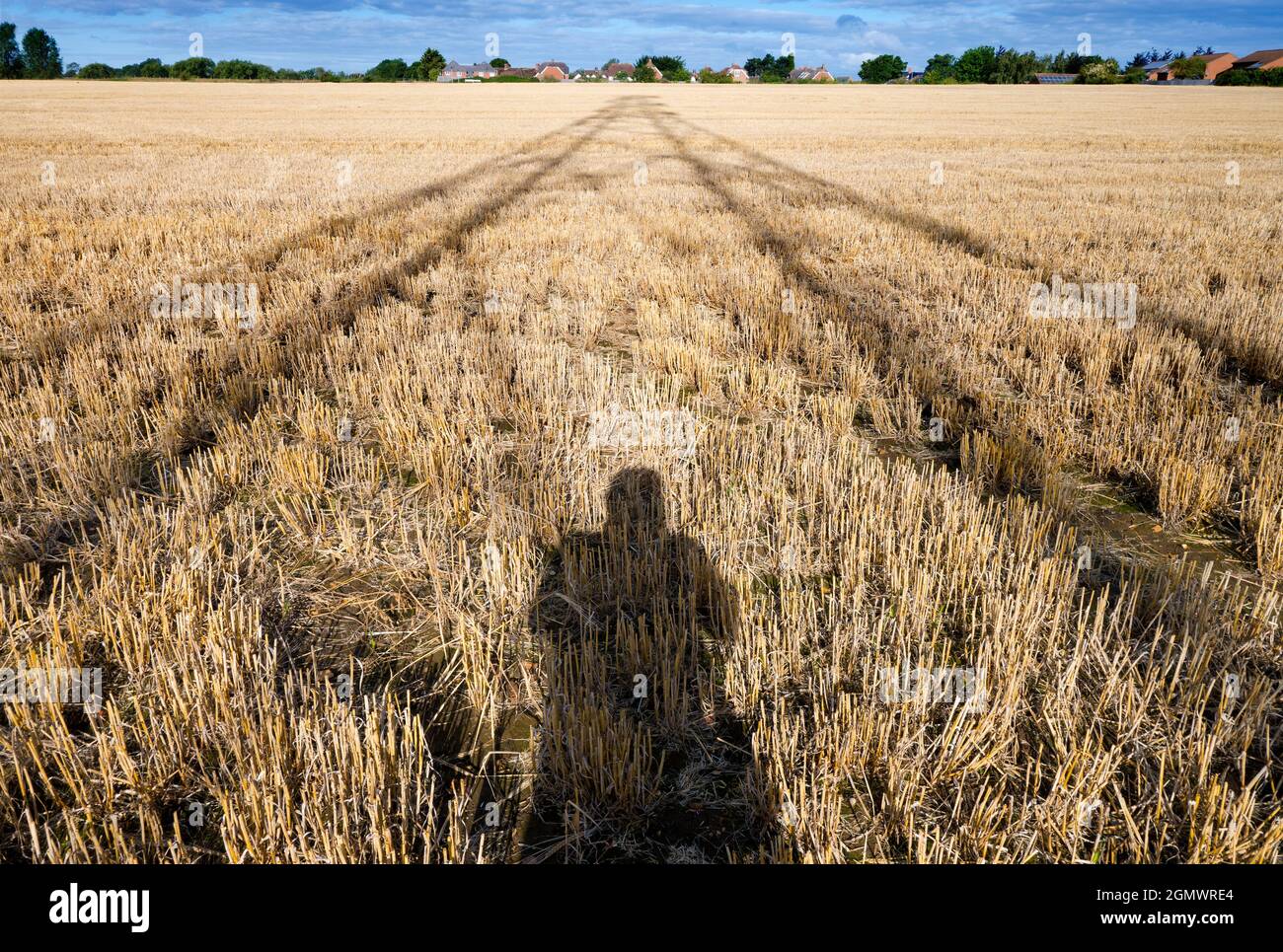 Oxfordshire, Angleterre - 28 juillet 2020; personne en vue. J'aime les pylônes d'électricité; je trouve leurs formes abstraites et gantantes sans fin fascinantes. Et h Banque D'Images