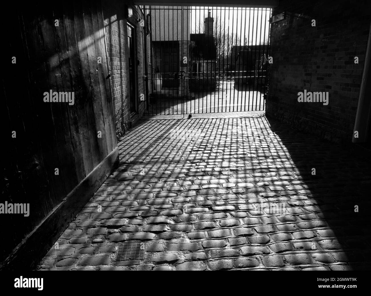 Abingdon, Angleterre - 25 février 2020 vous pouvez voir le modèle et la beauté n'importe où, si vous avez l'air assez dur. Cette image de résumé, SH régulier Banque D'Images