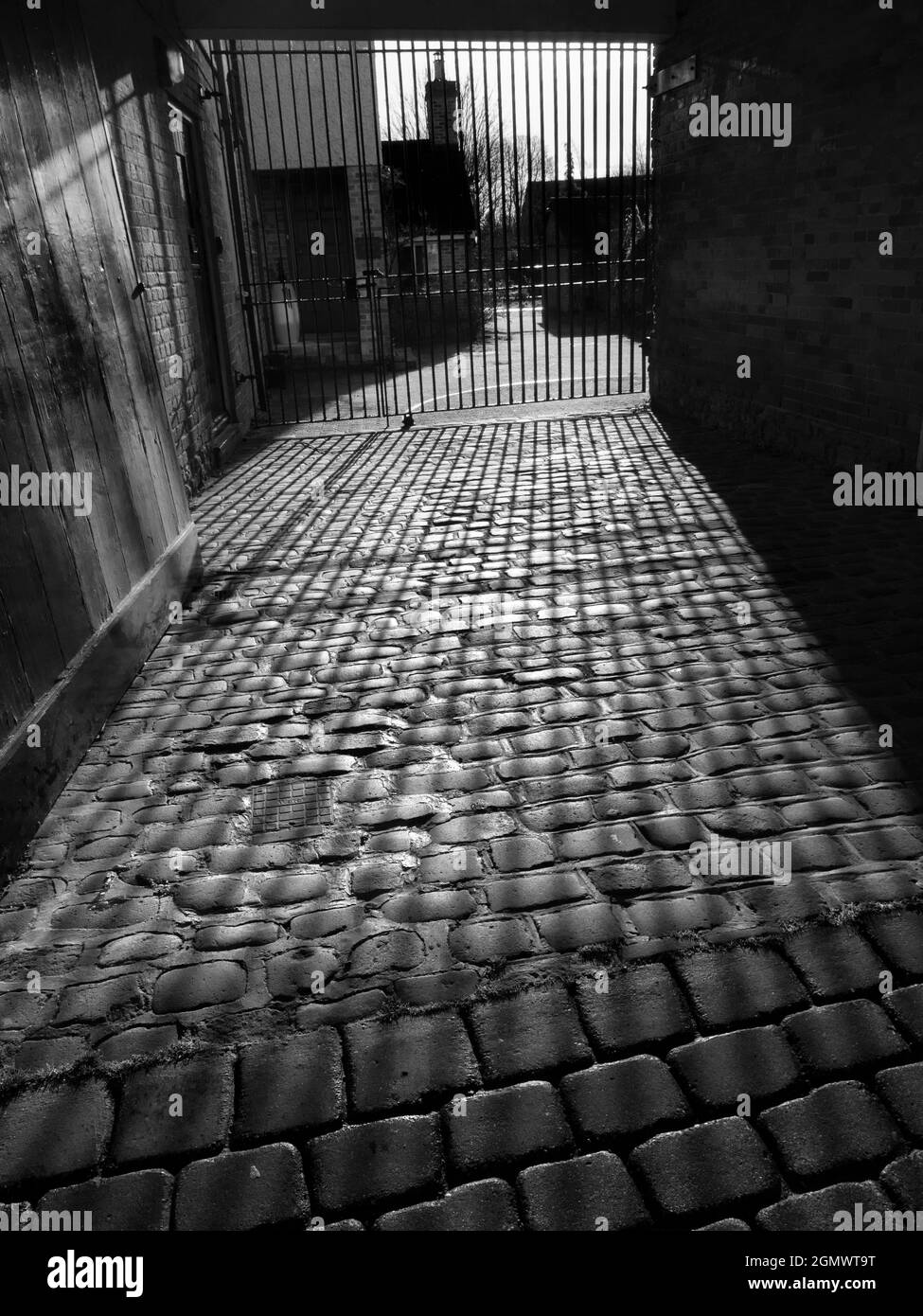 Abingdon, Angleterre - 25 février 2020 vous pouvez voir le modèle et la beauté n'importe où, si vous avez l'air assez dur. Cette image de résumé, SH régulier Banque D'Images