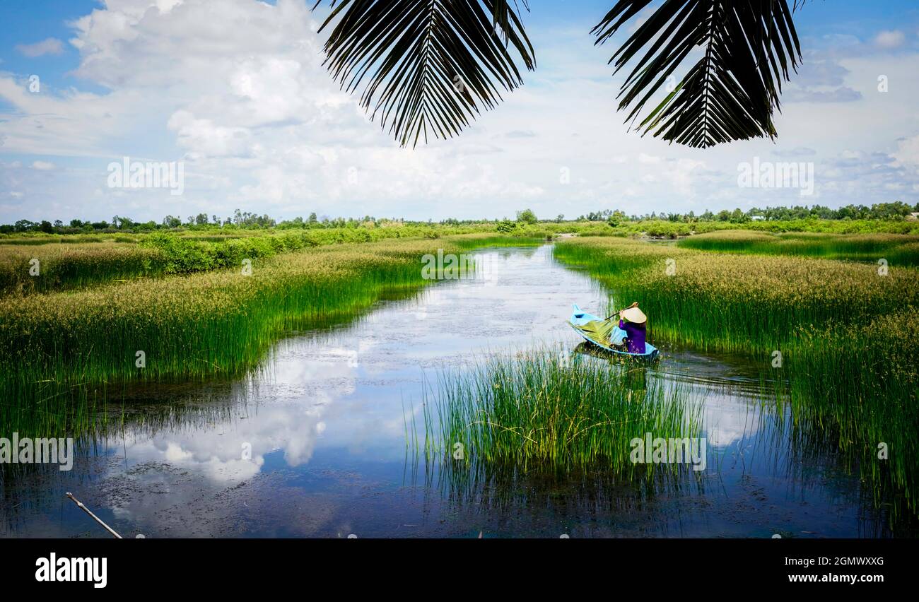 Beau paysage dans la province de CA Mau sud du Vietnam Banque D'Images